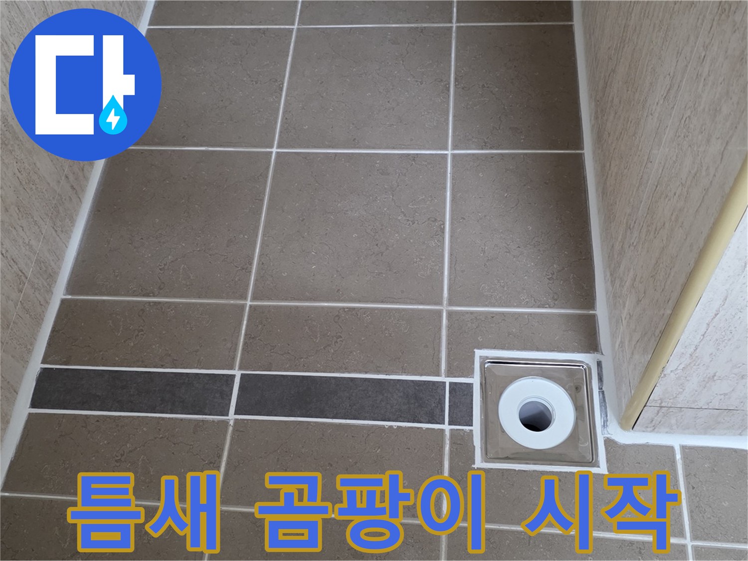 배수구 주변 타일 틈새 - 곰팡이 시작
