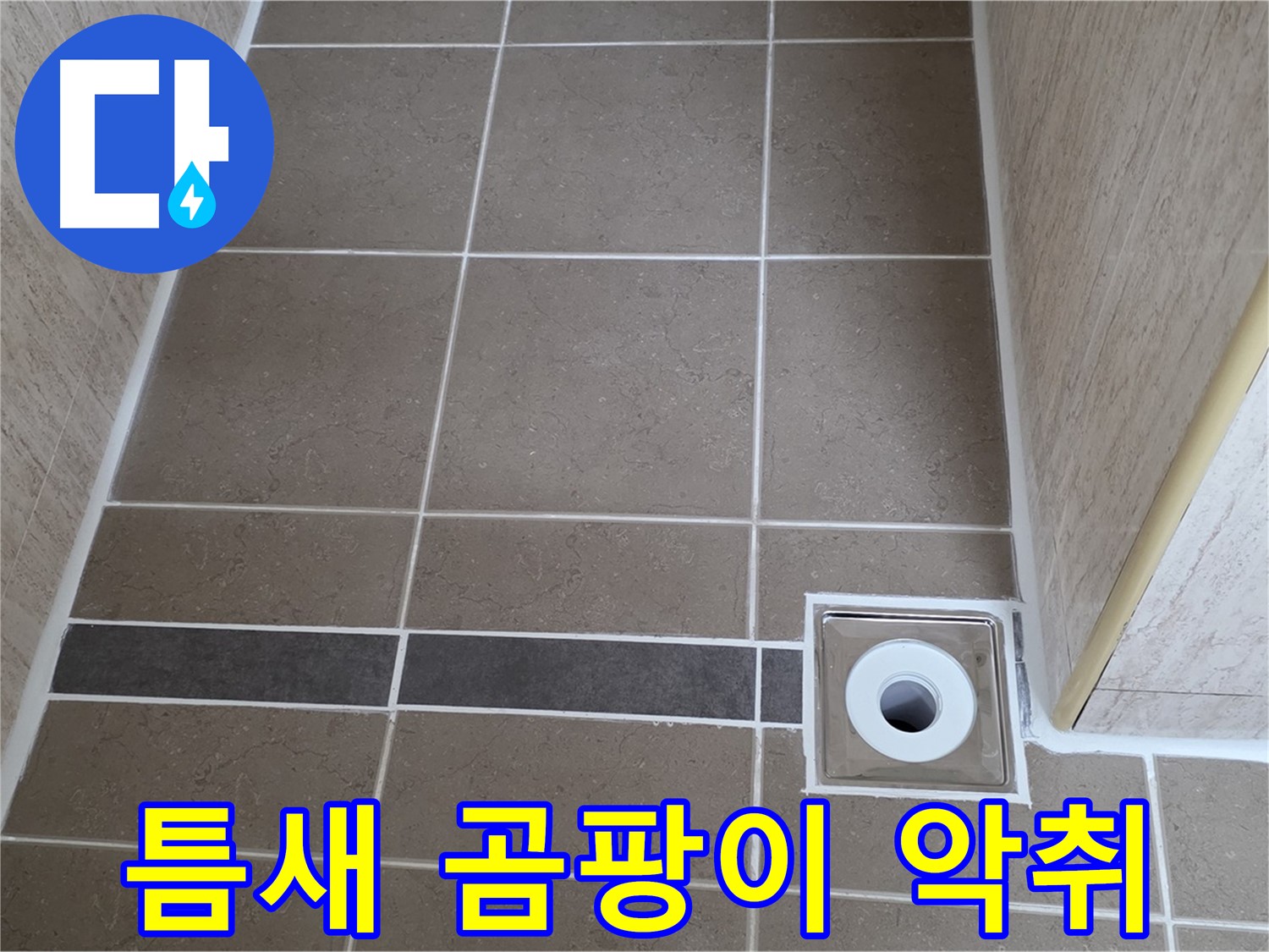 배수구 주변 타일 틈새 - 곰팡이 악취