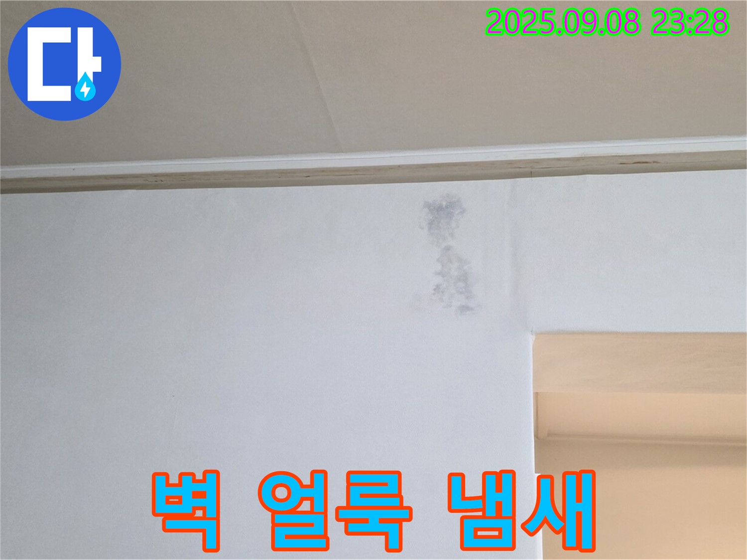 벽 젖은 얼룩 곰팡이 냄새 - 곰팡이 냄새가 난다면 즉시 점검하세요.