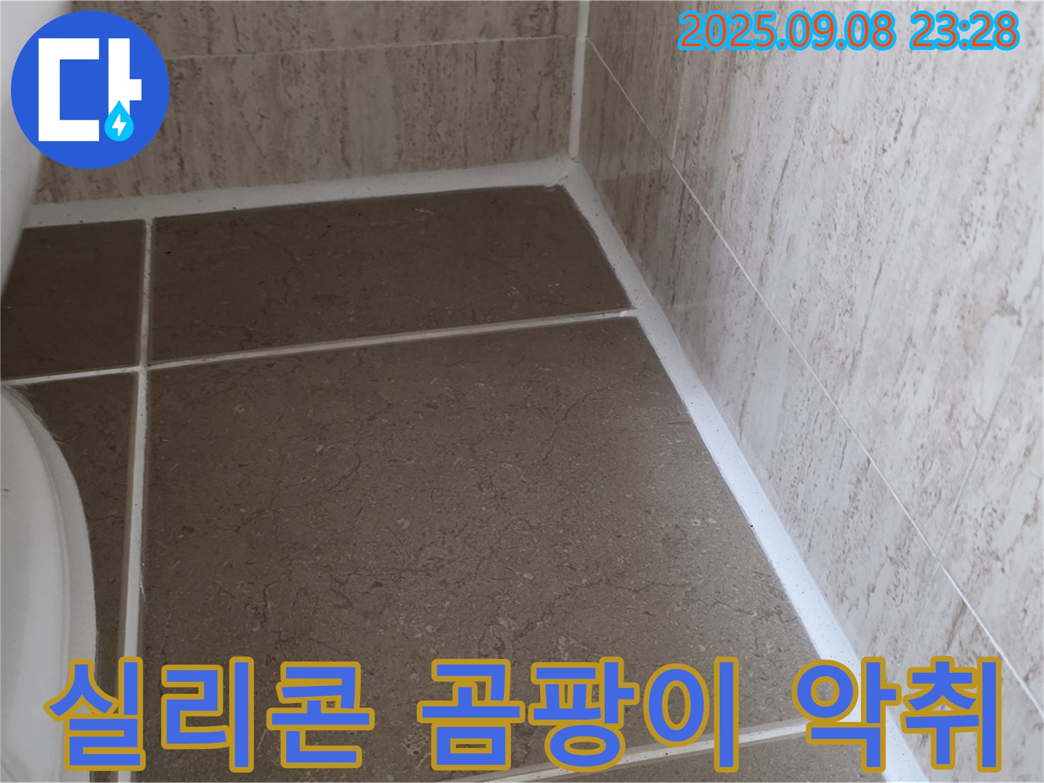변기 주변 타일 사이 실리콘 곰팡이 및 악취 발생으로 인한 누수 - 포천 일동