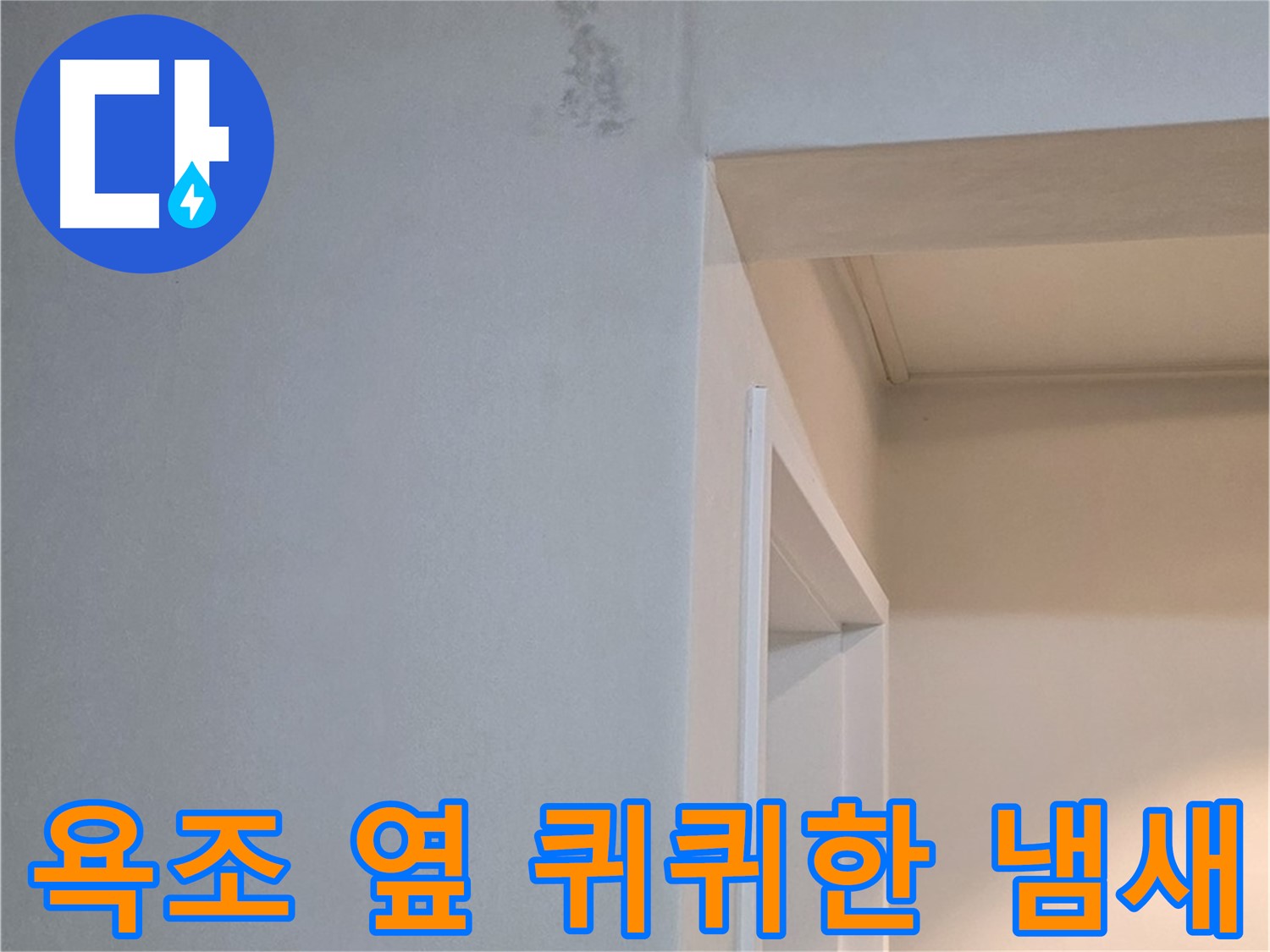 포천 일동 기산리 아파트 욕조 옆 벽면 퀴퀴한 냄새 - 누수 원인 진단 및 냄새 제거