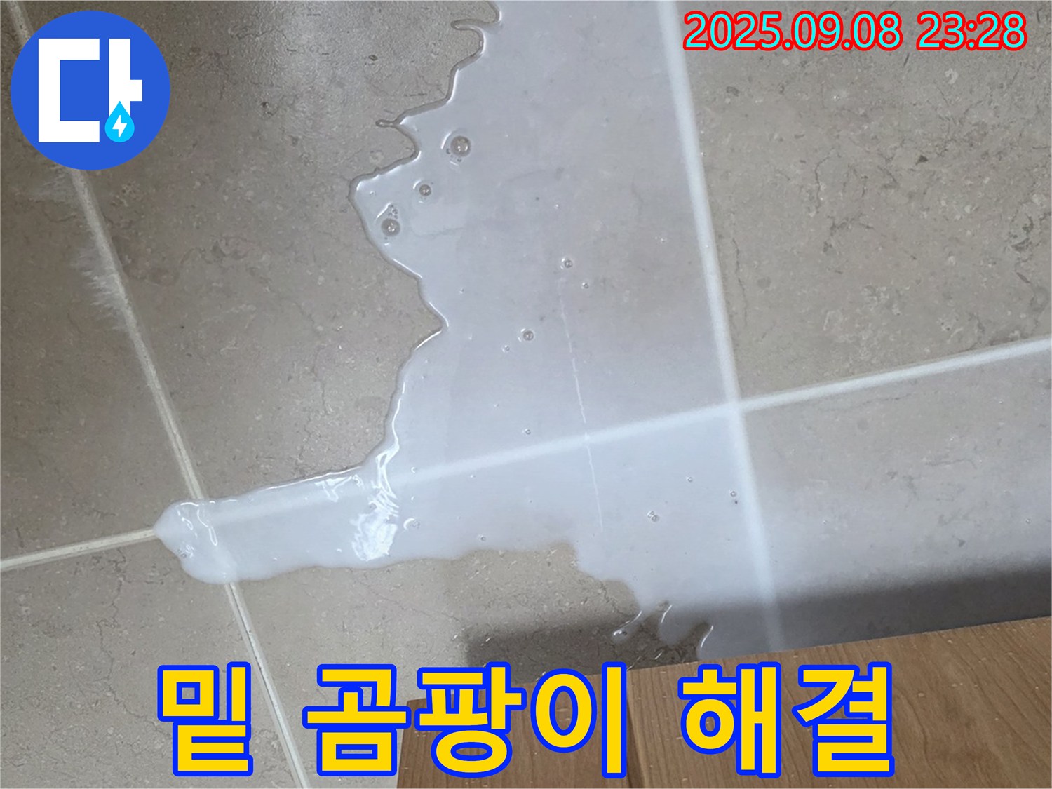 포천 일동 기산베스트빌 아파트 - 싱크대 밑 곰팡이, 누수 해결이 먼저