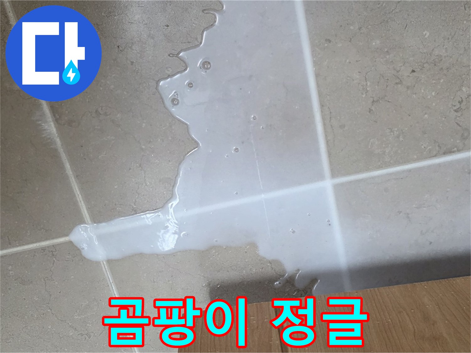 포천 일동 기산베스트빌 아파트 - 씽크대 누수로 인해 곰팡이가 무성하게 자라나는 모습 - 곰팡이 정글 되기 전에 SOS