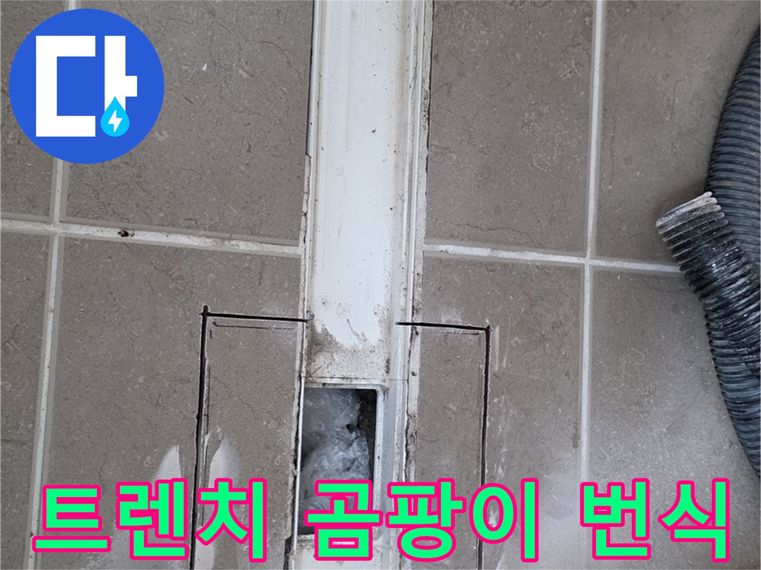 포천 일동 기산베스트빌 욕실 트렌치 누수 - 주변 습기로 인한 곰팡이 번식 상태 확인