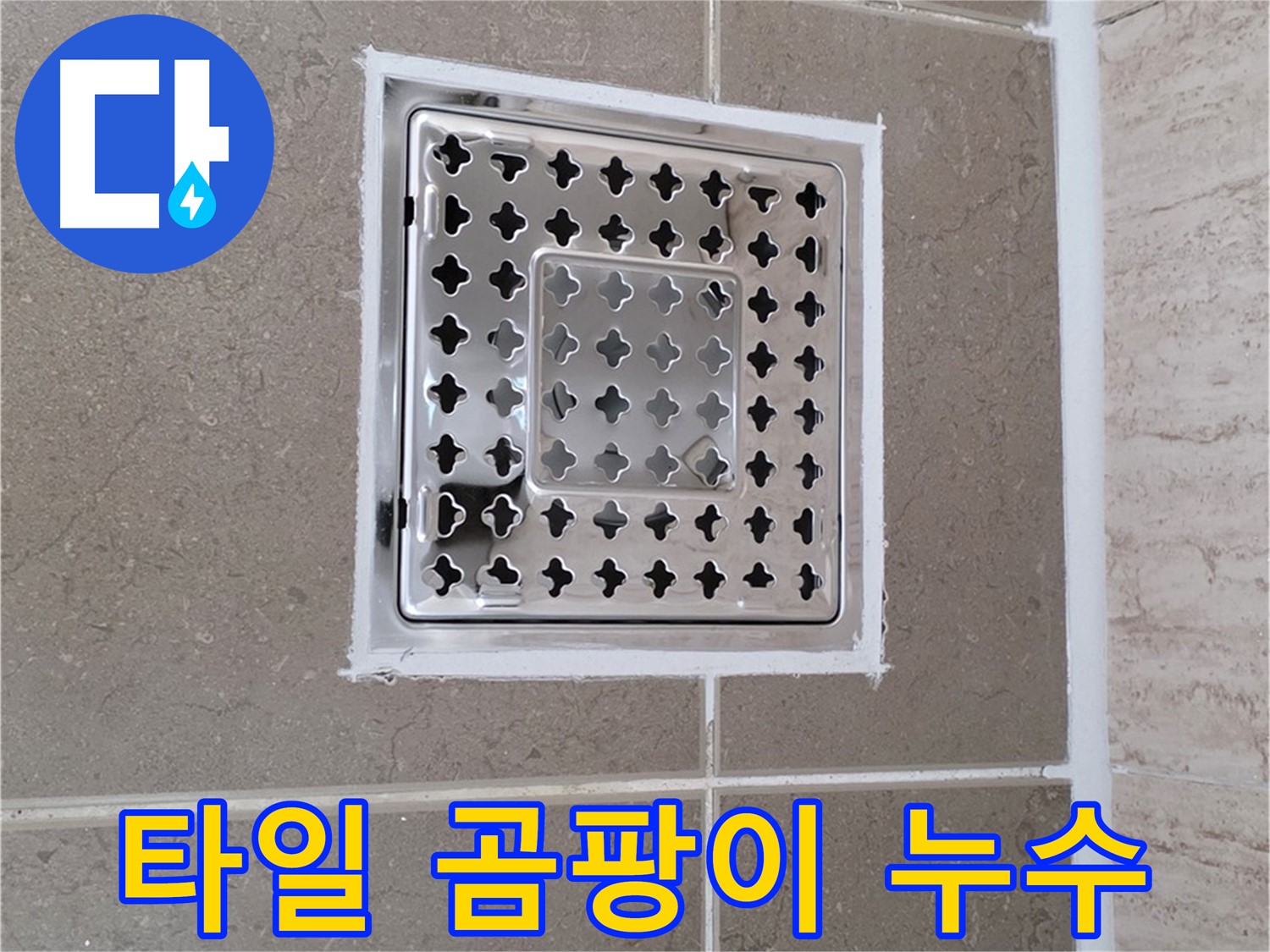 포천 일동 누수 - 욕실 배수구 주변 타일 곰팡이 발생 원인 분석 및 누수 가능성 진단