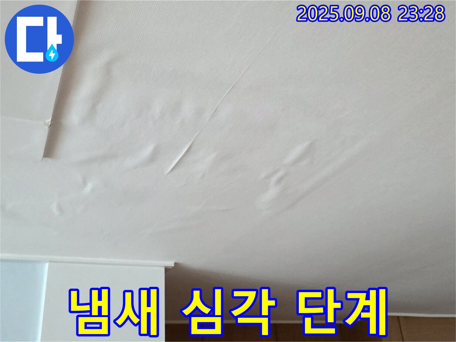 포천 일동 아파트 누수 - 젖은 천장, 벽지 곰팡이 냄새 심각 단계 - 건강 위협