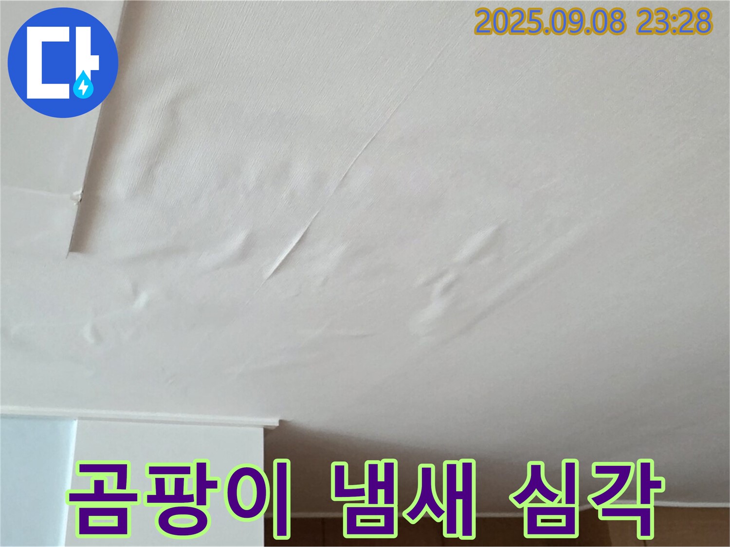 포천 일동 아파트 누수 - 천장 젖음, 벽지 곰팡이 냄새 심각 - 건강에 해로움