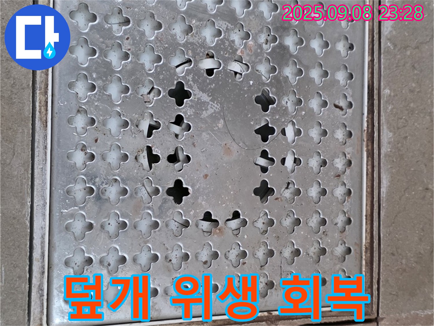 포천 일동 아파트 - 배수구 덮개 교체 - 잃어버린 위생을 되찾으세요!