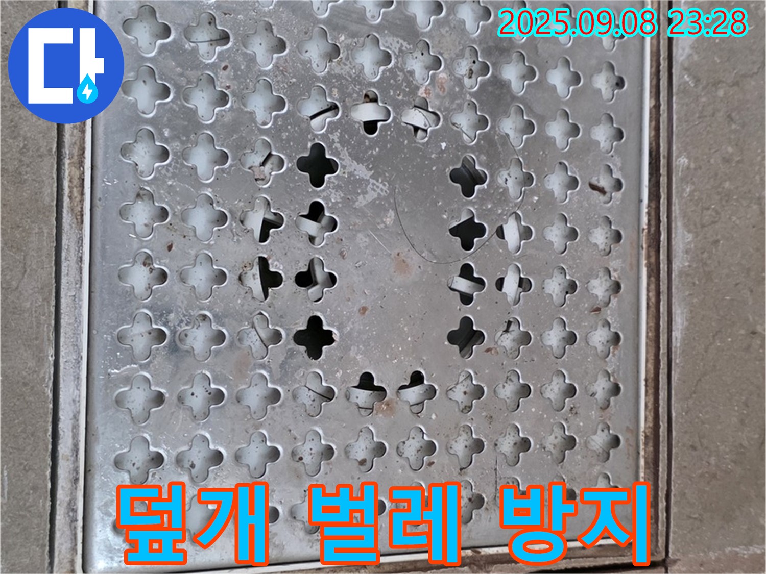 포천 일동 아파트 - 배수구 덮개 교체 후 벌레 걱정 끝! 위생적인 욕실