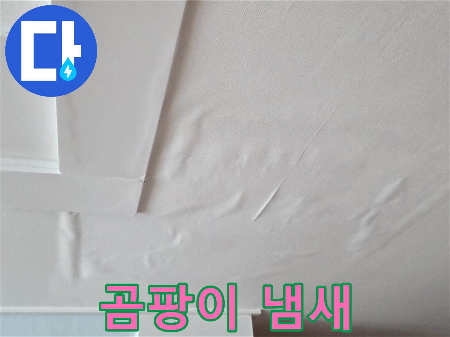 포천 일동 아파트 천장 누수 - 곰팡이 냄새 - 우울증 유발 - 정신 건강 악화