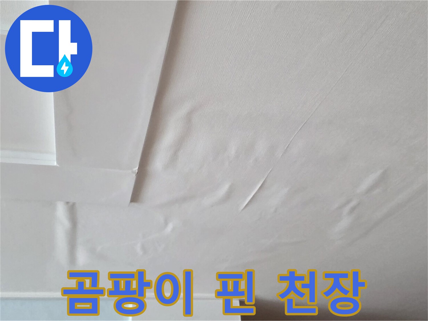 포천 일동 아파트 천장 누수 - 곰팡이 핀 천장 - 면역력 약화 - 잦은 감기