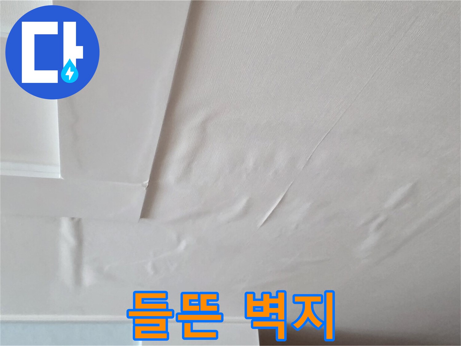 포천 일동 아파트 천장 누수 - 들뜬 벽지와 곰팡이 알레르기 - 재채기 유발