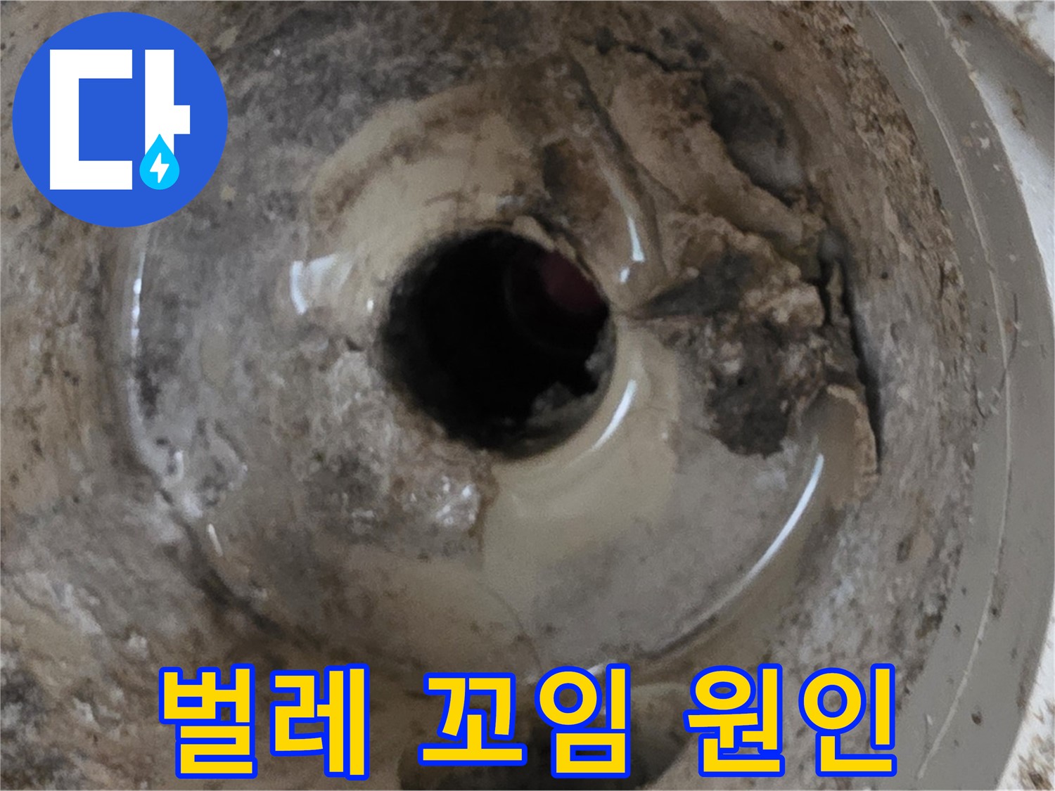 포천 일동 운악청계로 - 누수와 벌레 꼬임, 베란다 배수구 문제의 원인은?