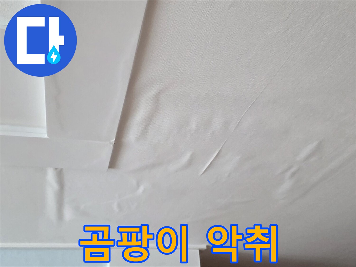 포천 일동 천장 누수 - 곰팡이와 악취 발생