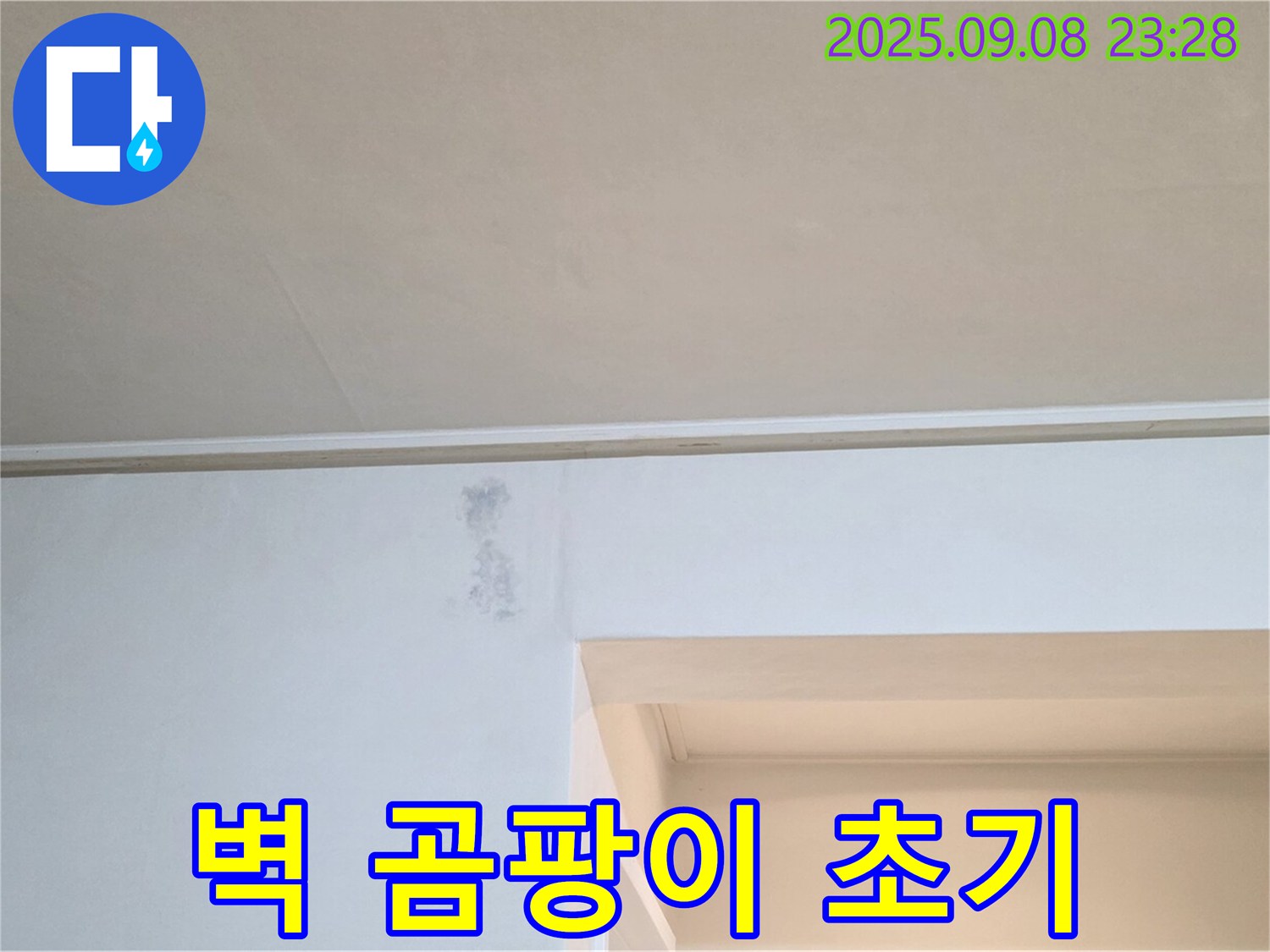 포천 일동면 기산리 벽 곰팡이 초기 - 초기 곰팡이도 누수 문제가 있을 수 있습니다.