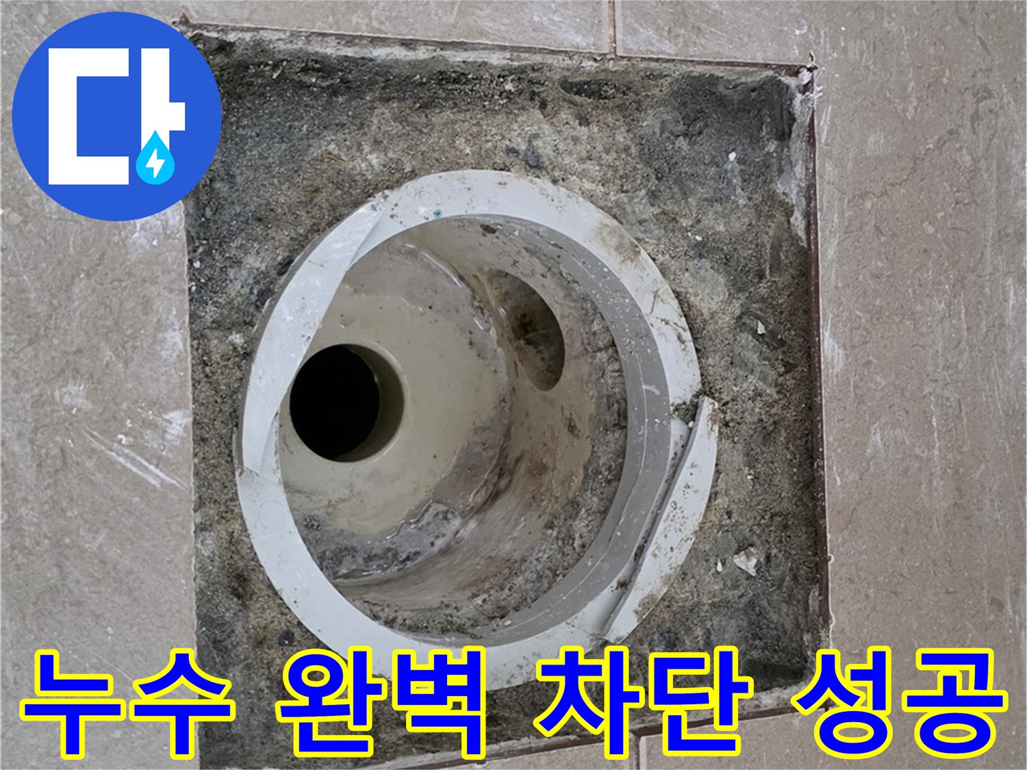 포천 일동면 기산리 아파트 화장실 하수구 누수 - 누수 완벽 차단 및 재발 방지 시공