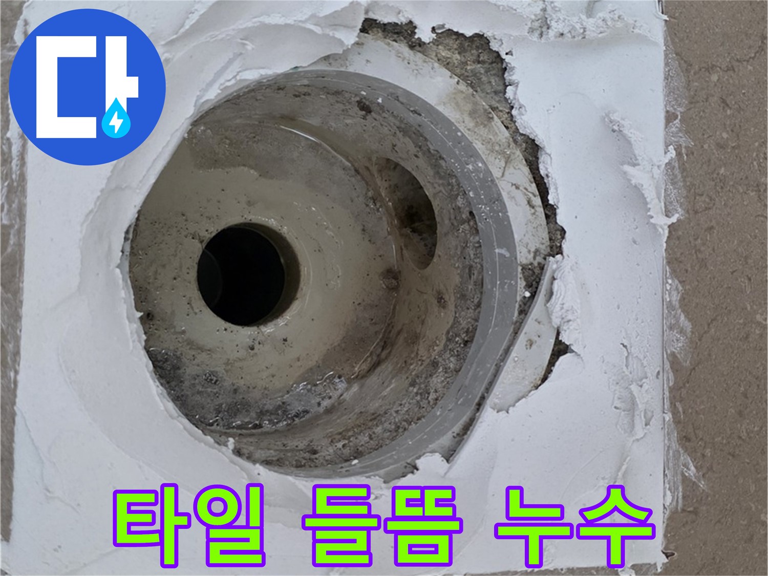 포천 일동면 아파트 - 낡은 배수구 주변 타일 들뜸 및 백시멘트 손상으로 인한 누수