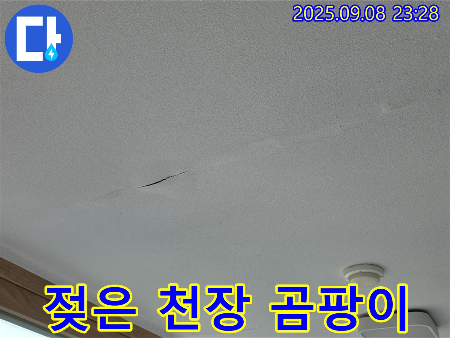 포천 일동면 아파트 누수 - 젖은 천장 - 곰팡이 발생 직전입니다!