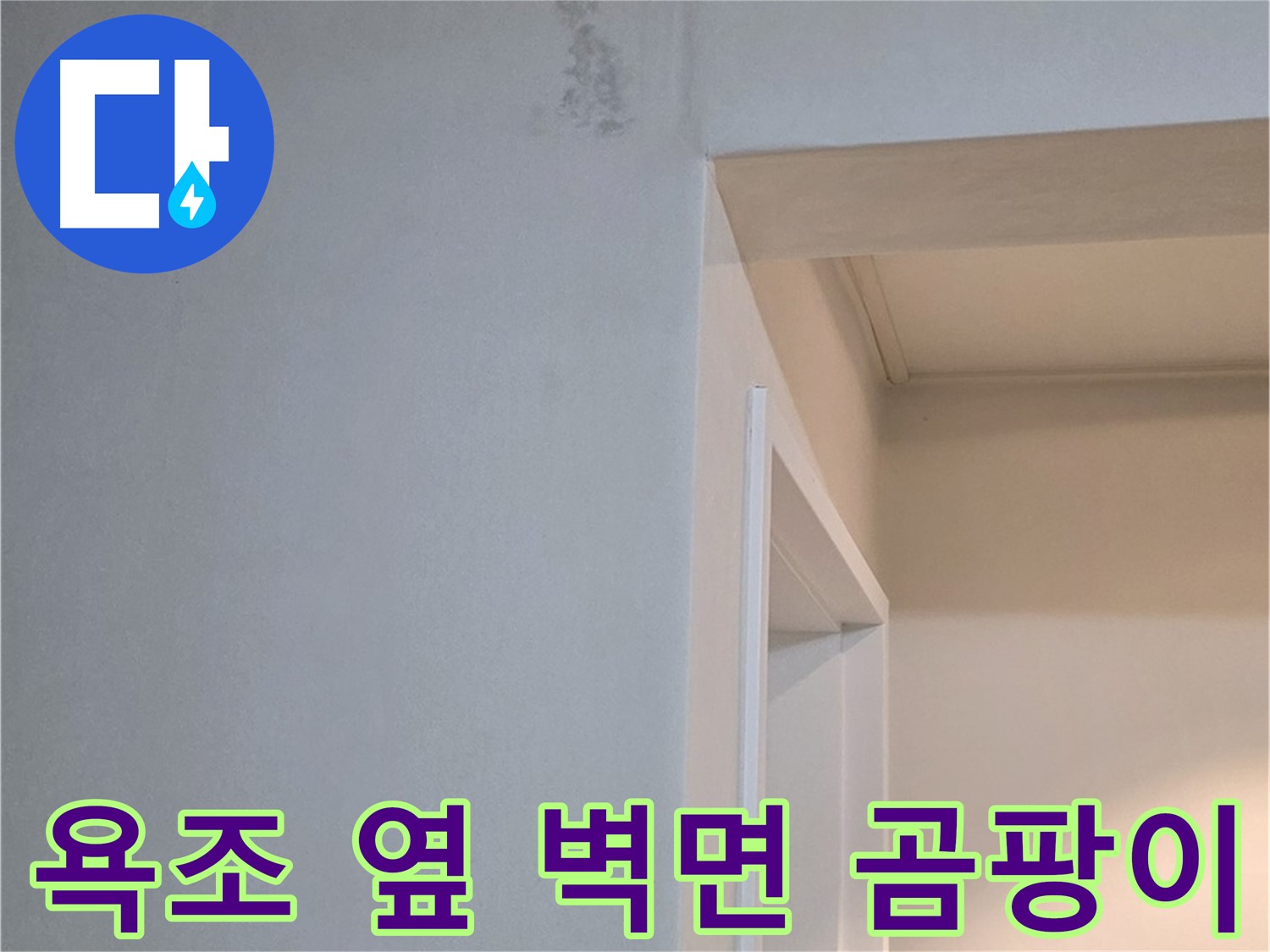 포천시 일동 기산리 아파트 욕조 옆 벽면의 곰팡이 - 숨겨진 누수 원인 진단 및 해결