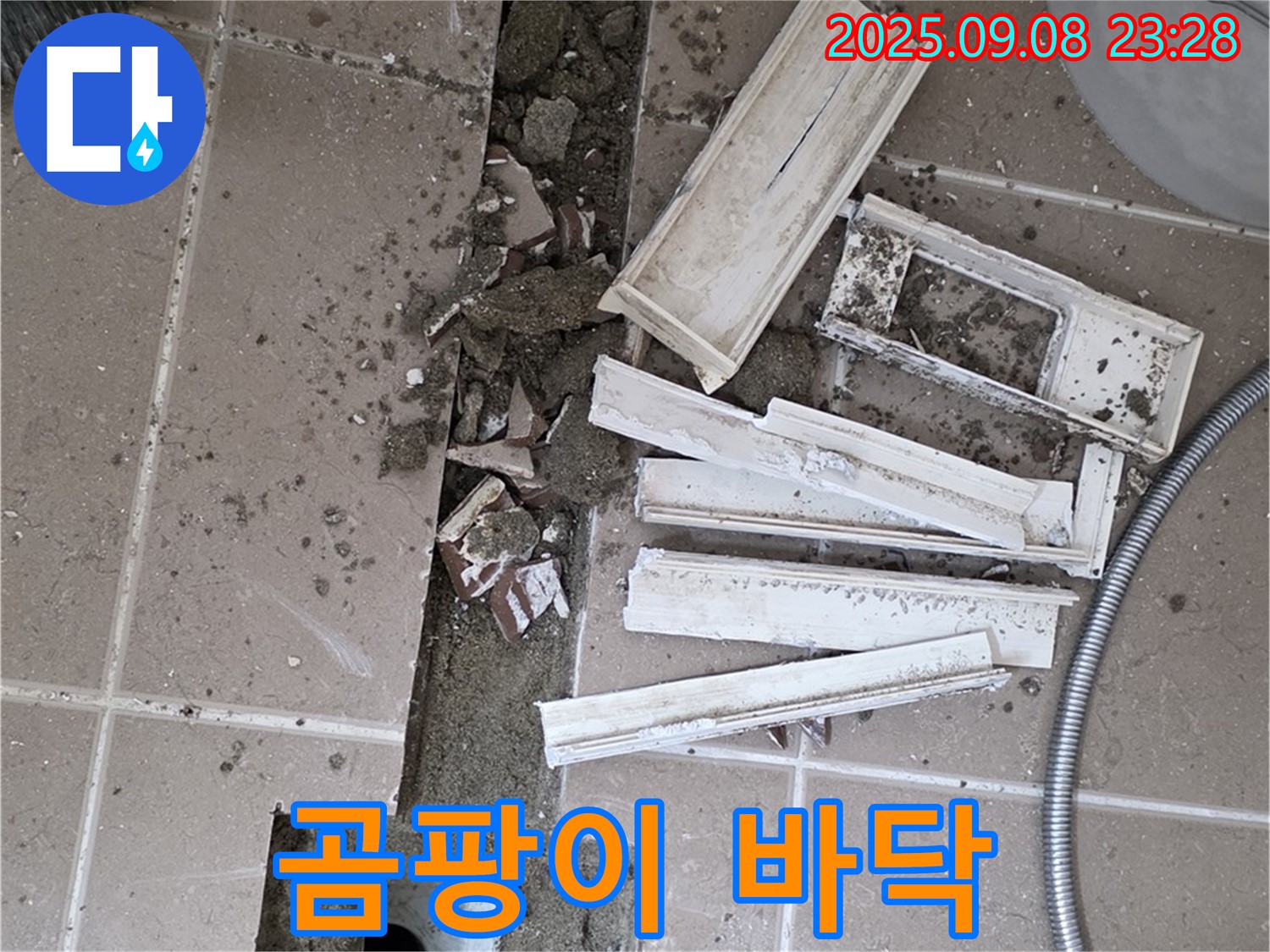 포천시 일동면 기산리 베스트빌 아파트 화장실 누수 - 트랜치 철거 후 드러난 곰팡이 얼룩덜룩한 바닥의 모습