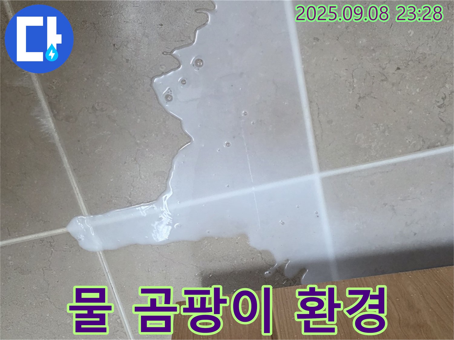 포천시 일동면 기산리 - 싱크대 물 - 곰팡이 서식 최적 환경