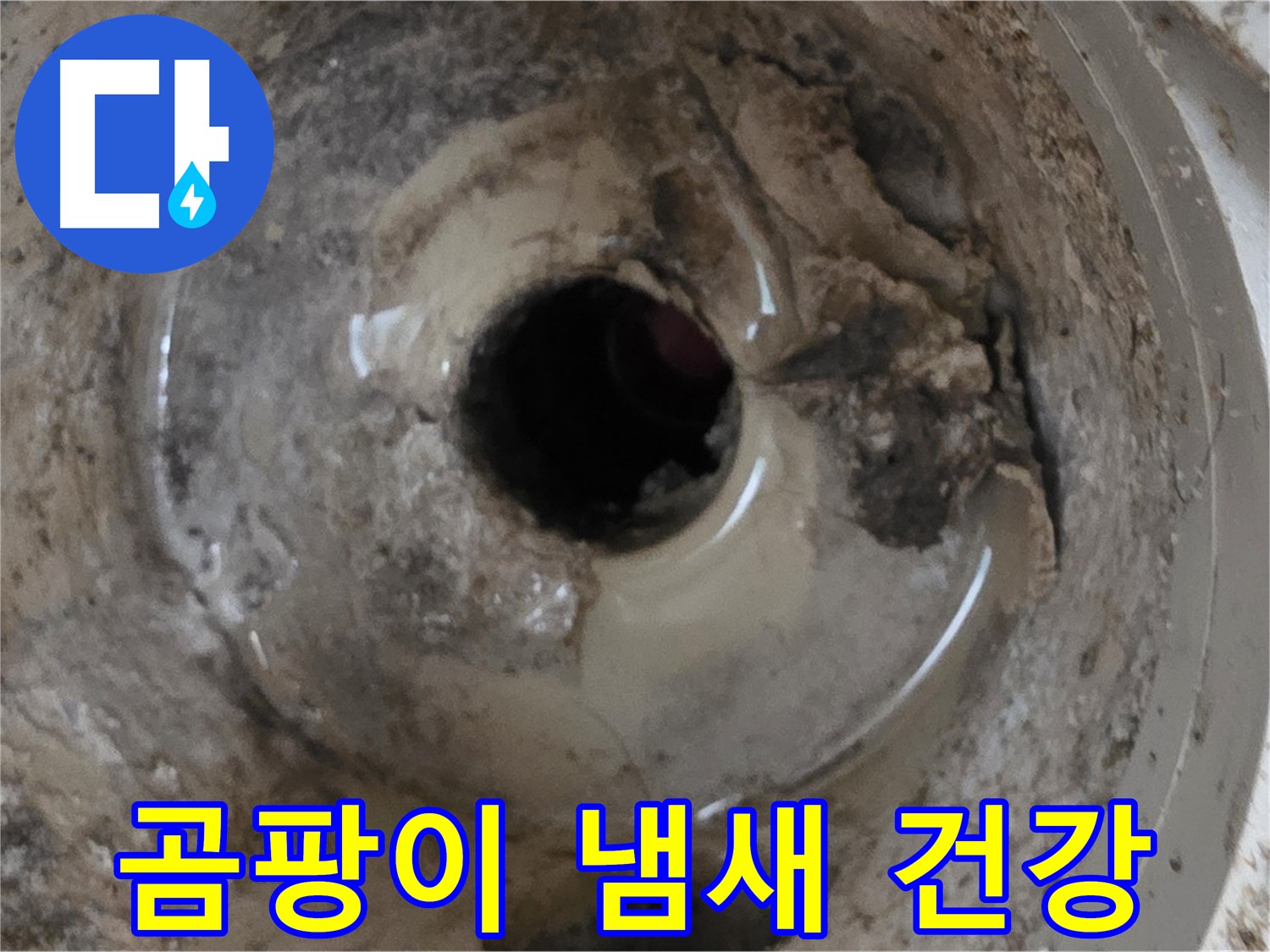 포천시 일동면 기산베스트빌 아파트 - 베란다 배수구 곰팡이 냄새, 건강에 해로울 수 있습니다!
