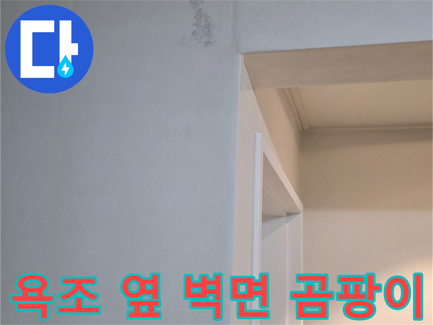 포천시 일동면 기산베스트빌 아파트 욕조 옆 벽면 곰팡이 - 건강 위협 및 곰팡이 제거
