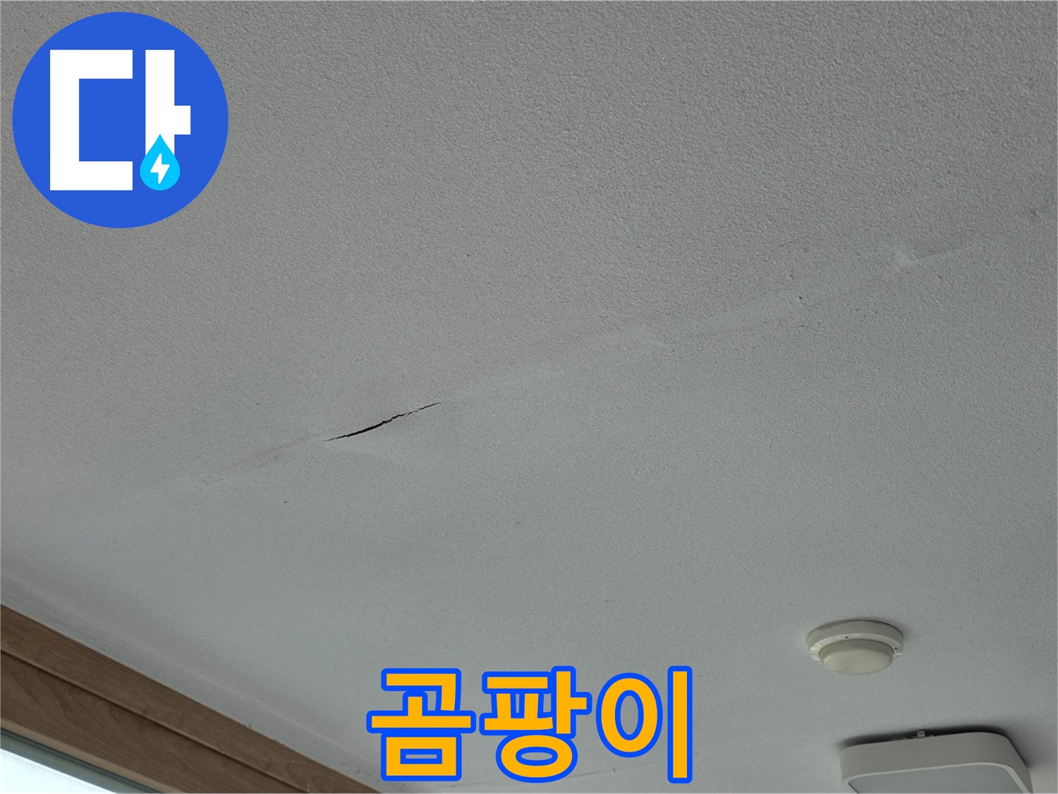 포천시 일동면 아파트 천장 - 곰팡이 발생 범위 확인