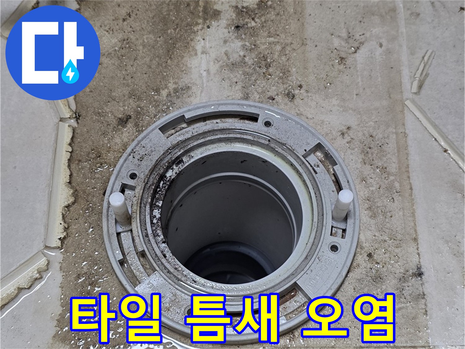 변기 플랜지 주변 타일 틈새 오염 - 틈새에 곰팡이가 슬고 오염되었습니다.