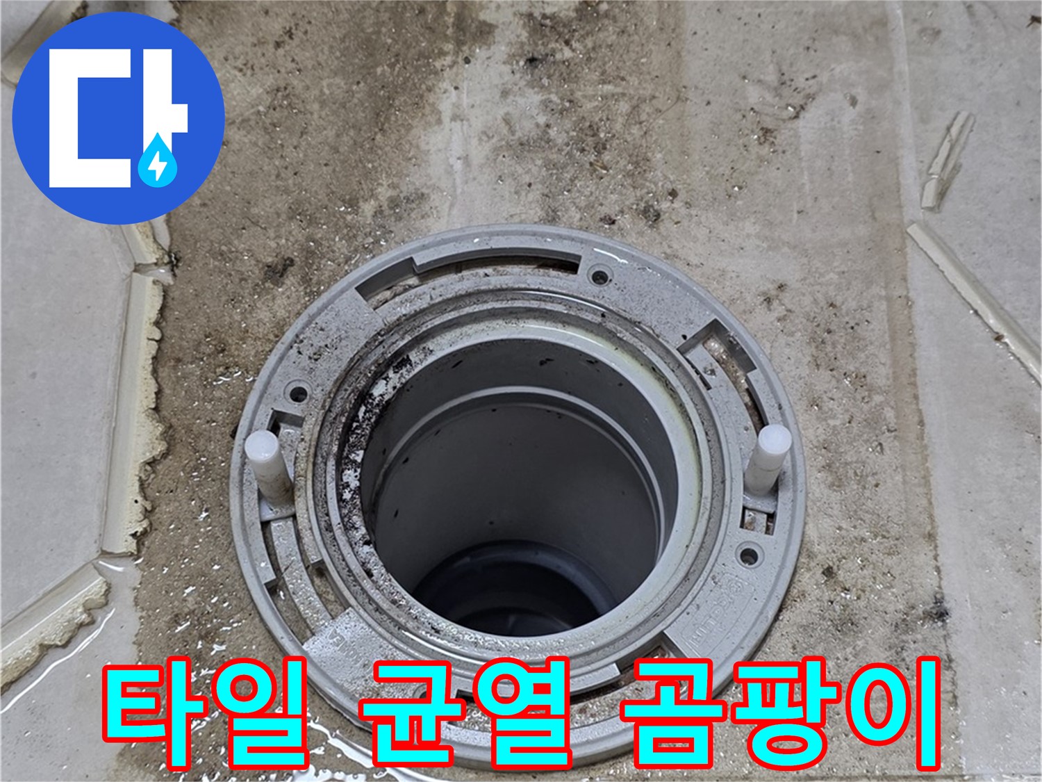 변기 플랜지 주변 타일 틈새 - 오염과 함께 균열이 심화되고 악취와 곰팡이까지 발생하고 있습니다.