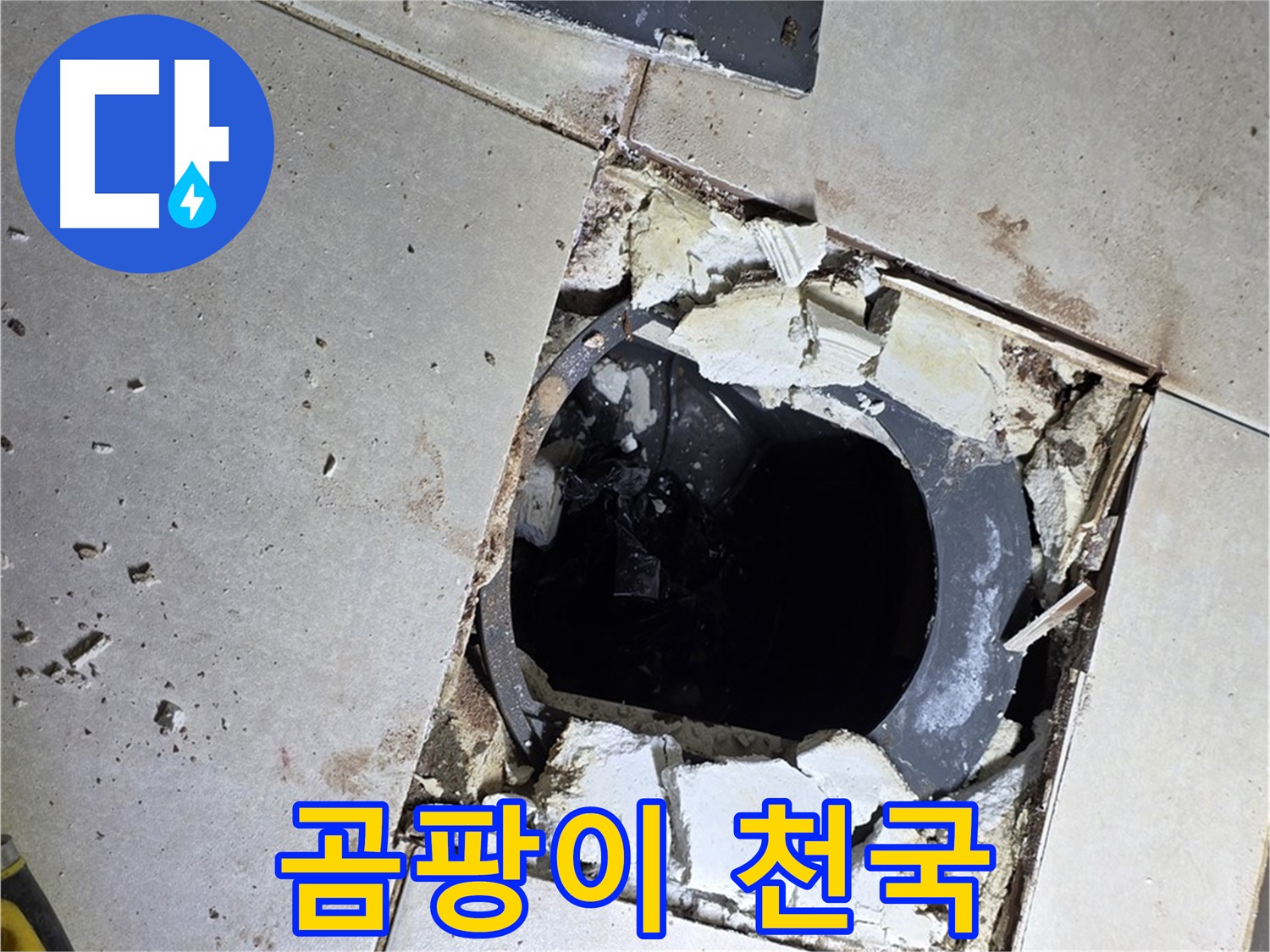 양주 고암동 욕실 누수 - 타일 제거 후 드러난 배수구 주변의 곰팡이 천국