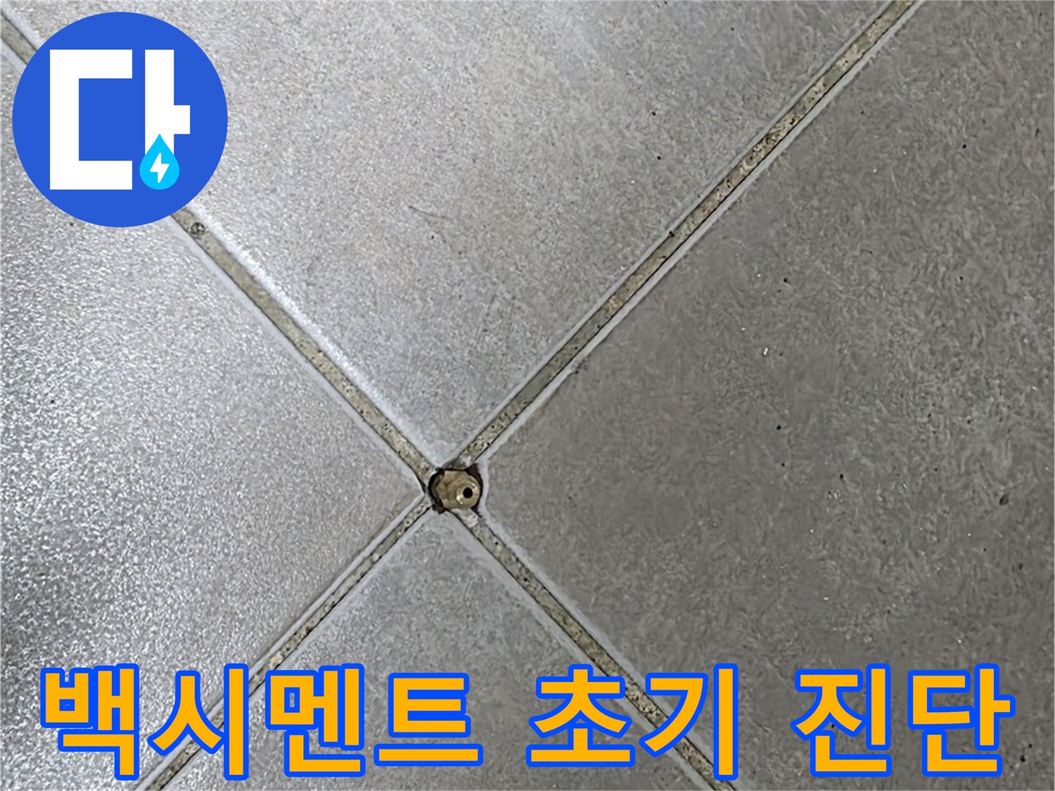 양주 옥정 율정마을 13단지 아파트 타일 틈새 백시멘트 - 초기 진단으로 누수 걱정 이제 끝!