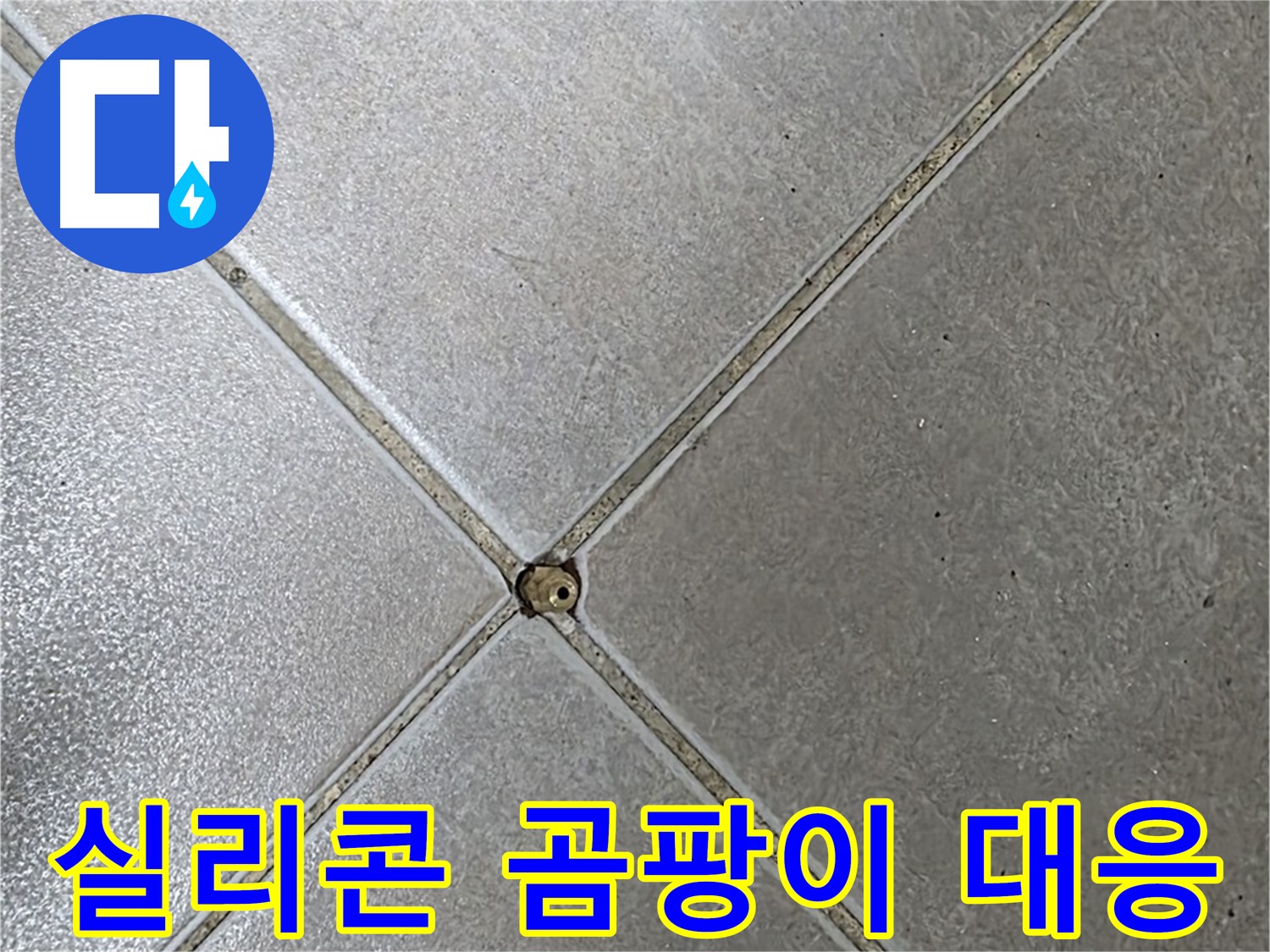 양주 옥정 율정마을 13단지 아파트 타일 틈새 실리콘 곰팡이 - 누수 초기 대응 과정입니다.