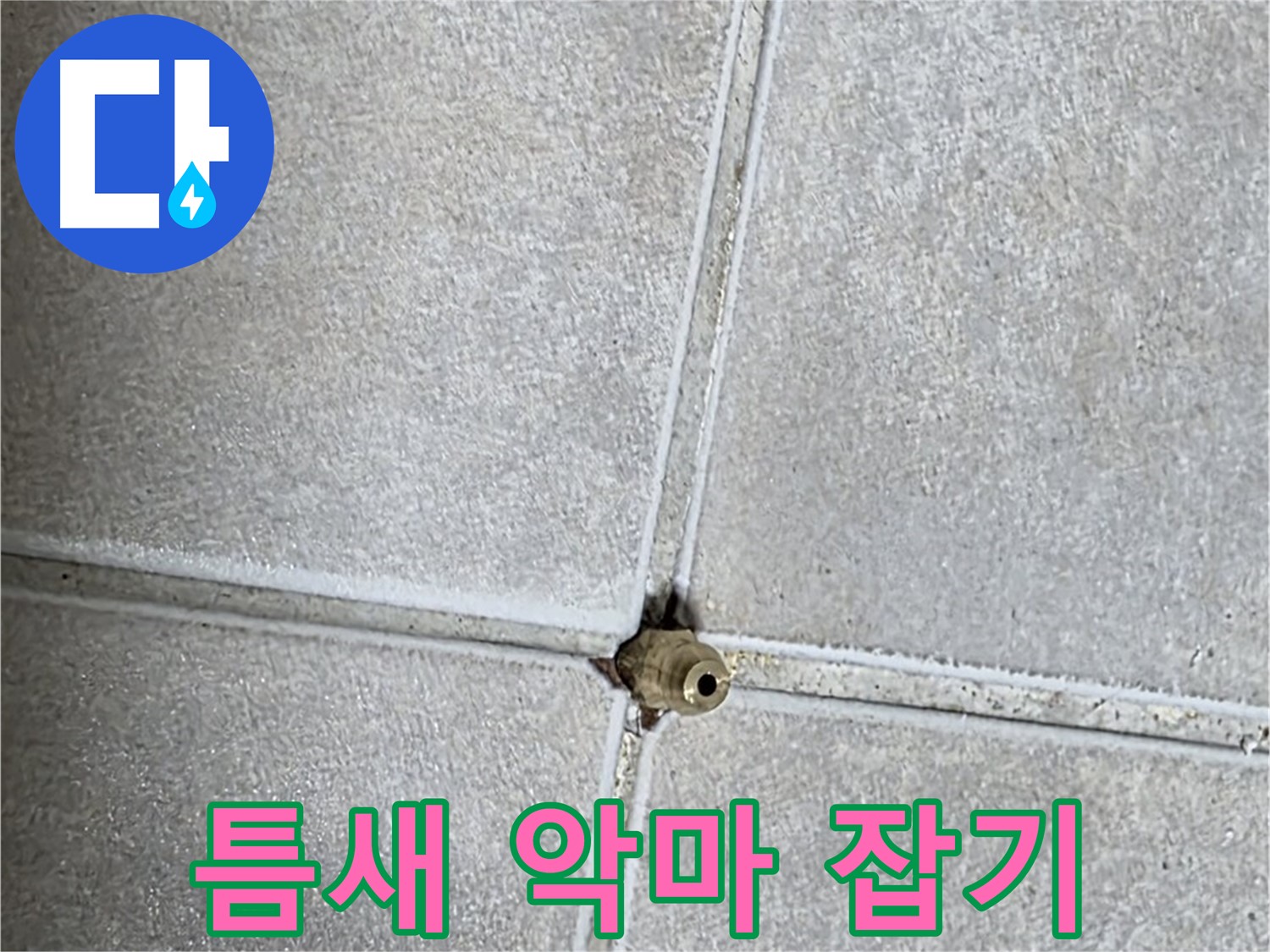양주 옥정 율정마을 아파트 누수 - 누수, 타일 틈새에 숨어있는 악마를 잡아 누수 고민을 해결하세요!