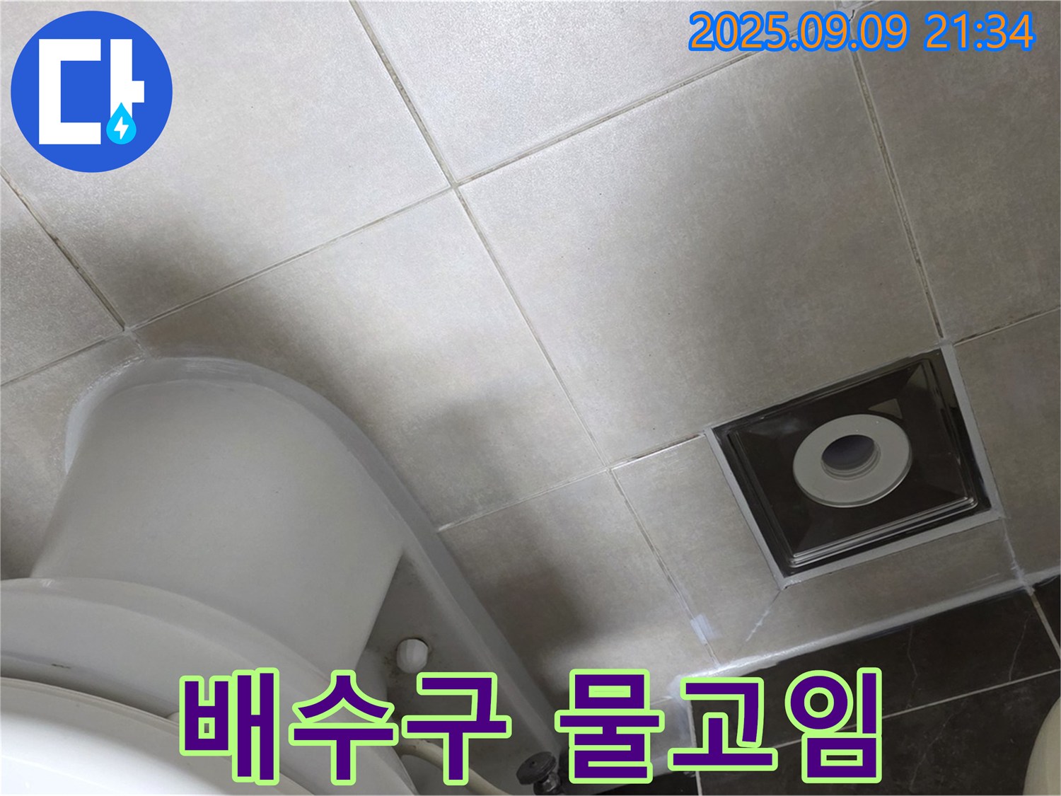 양주 옥정 율정마을 욕실 누수 - 배수구 주변 물고임, 역류 방지 트랩 점검!