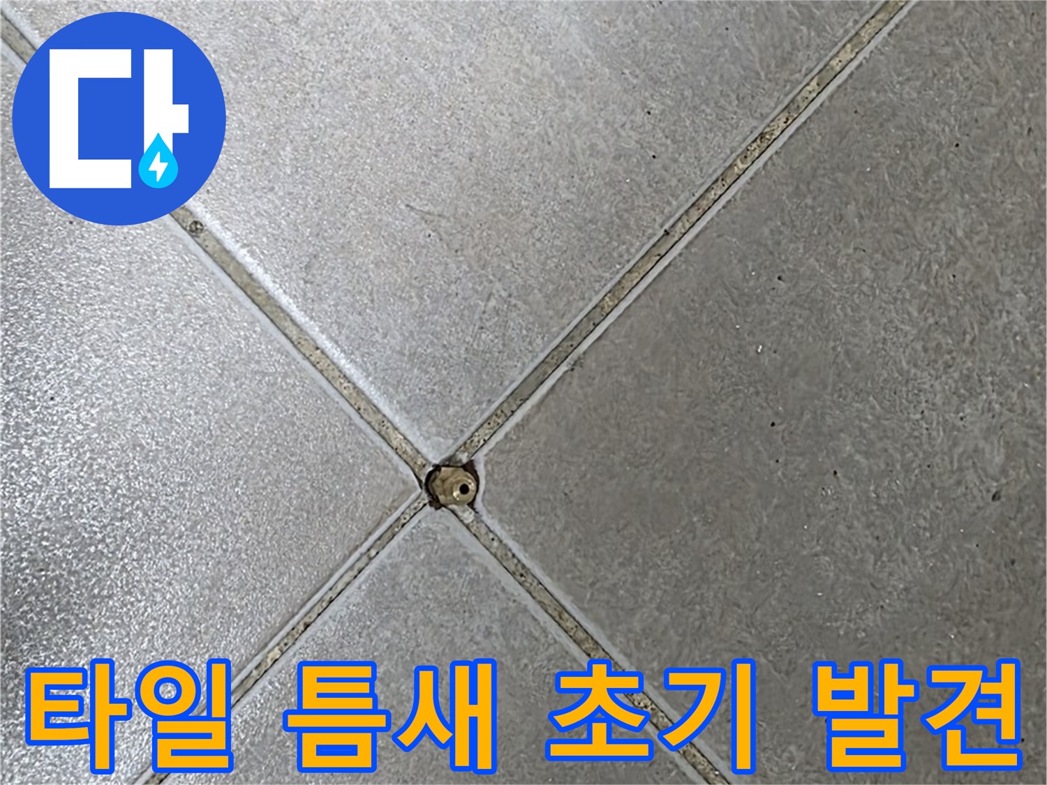 양주 옥정동 율정마을 13단지 아파트 타일 틈새 오염 - 초기 발견 사진입니다.