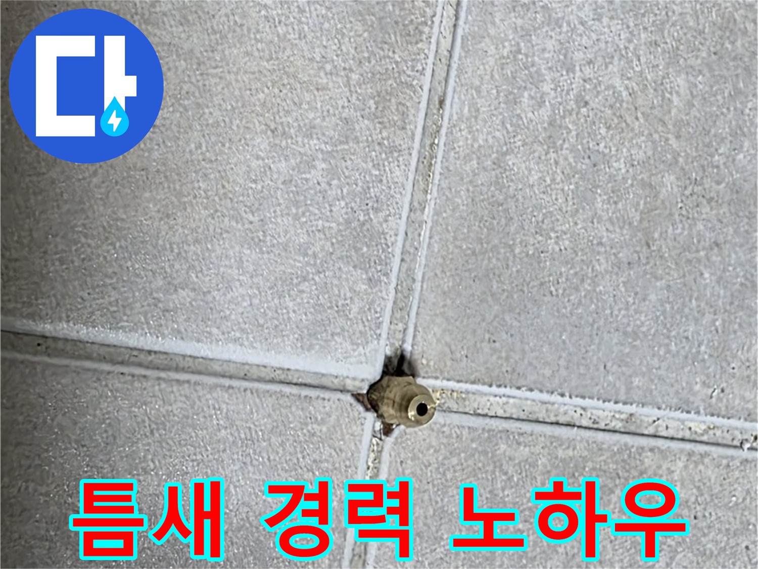 양주 옥정동 율정마을 아파트 누수 - 타일 틈새 누수, 20년 경력 베테랑의 노하우를 공개합니다!