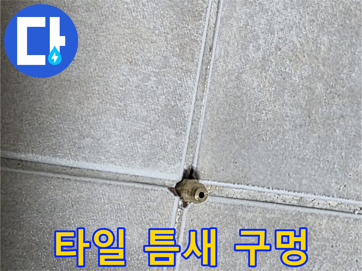 양주 옥정동 율정마을 아파트 누수 - 타일 틈새에 뚫린 작은 구멍, 누수 탐지의 시작을 알립니다.