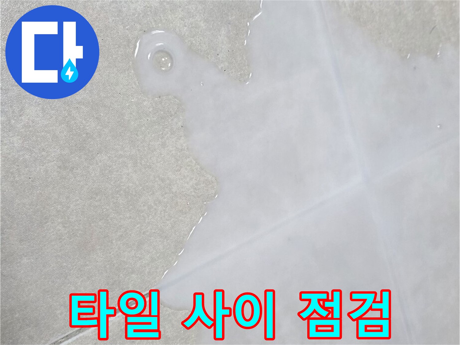 양주 옥정동 율정마을 아파트 타일 사이 물 - 누수 초기 증상 - 빠른 점검 중요