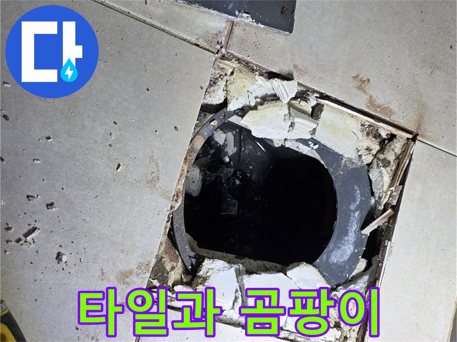양주 옥정동 화장실 누수 - 율정마을13단지 배수구 주변 깨진 타일과 곰팡이 흔적