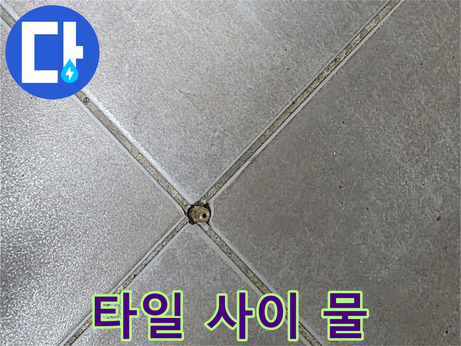 양주 율정마을 아파트 타일 사이 물 - 누수 의심 시 누수탐지 전문가에게 문의하세요.