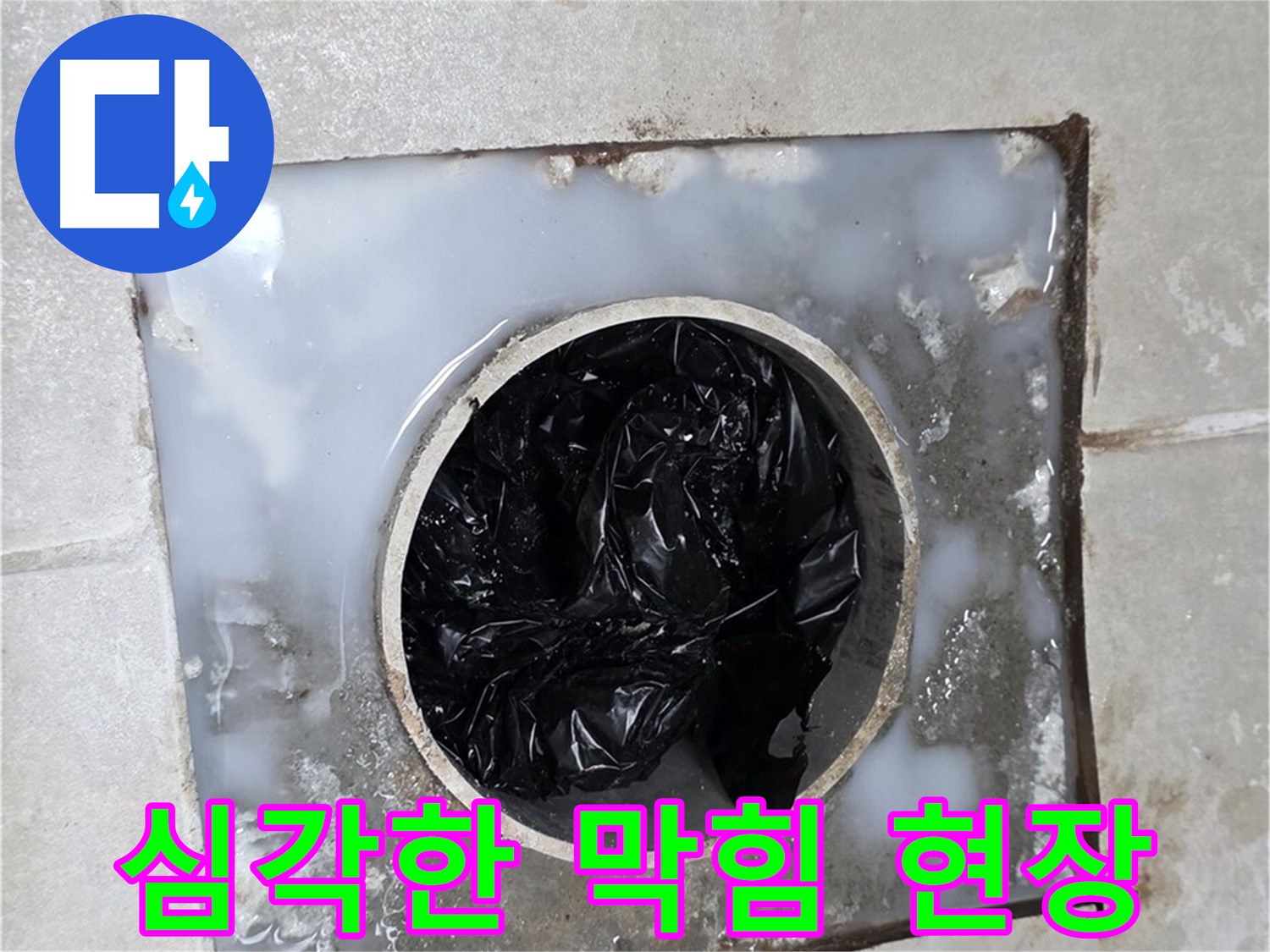 양주 율정마을 화장실 누수 - 배수구 막힘의 심각한 현장