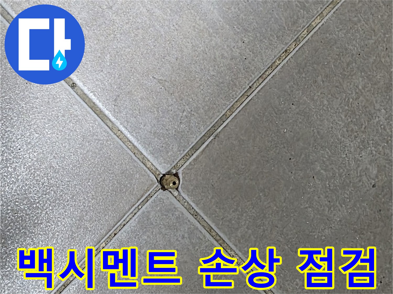 양주시 옥정동 율정마을 13단지 아파트 타일 틈새 백시멘트 손상 - 초기 점검 과정입니다.
