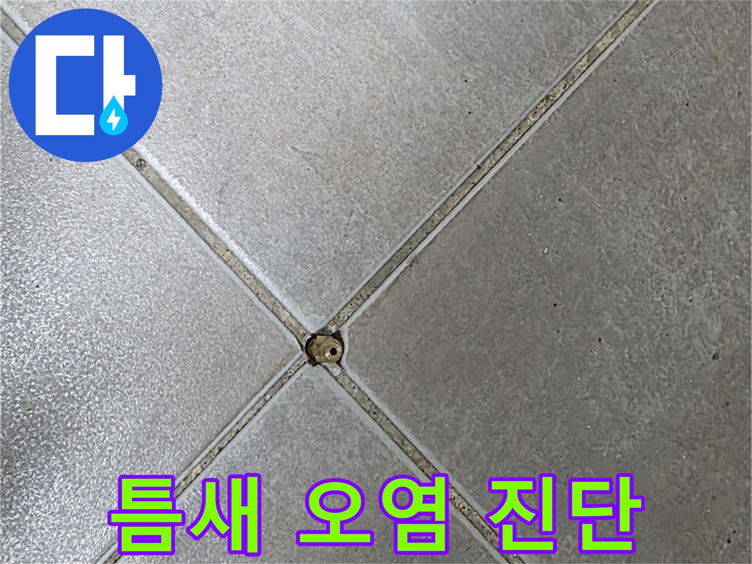 양주시 옥정동 율정마을 13단지 아파트 타일 틈새 오염 - 전문가의 초기 진단 모습입니다.