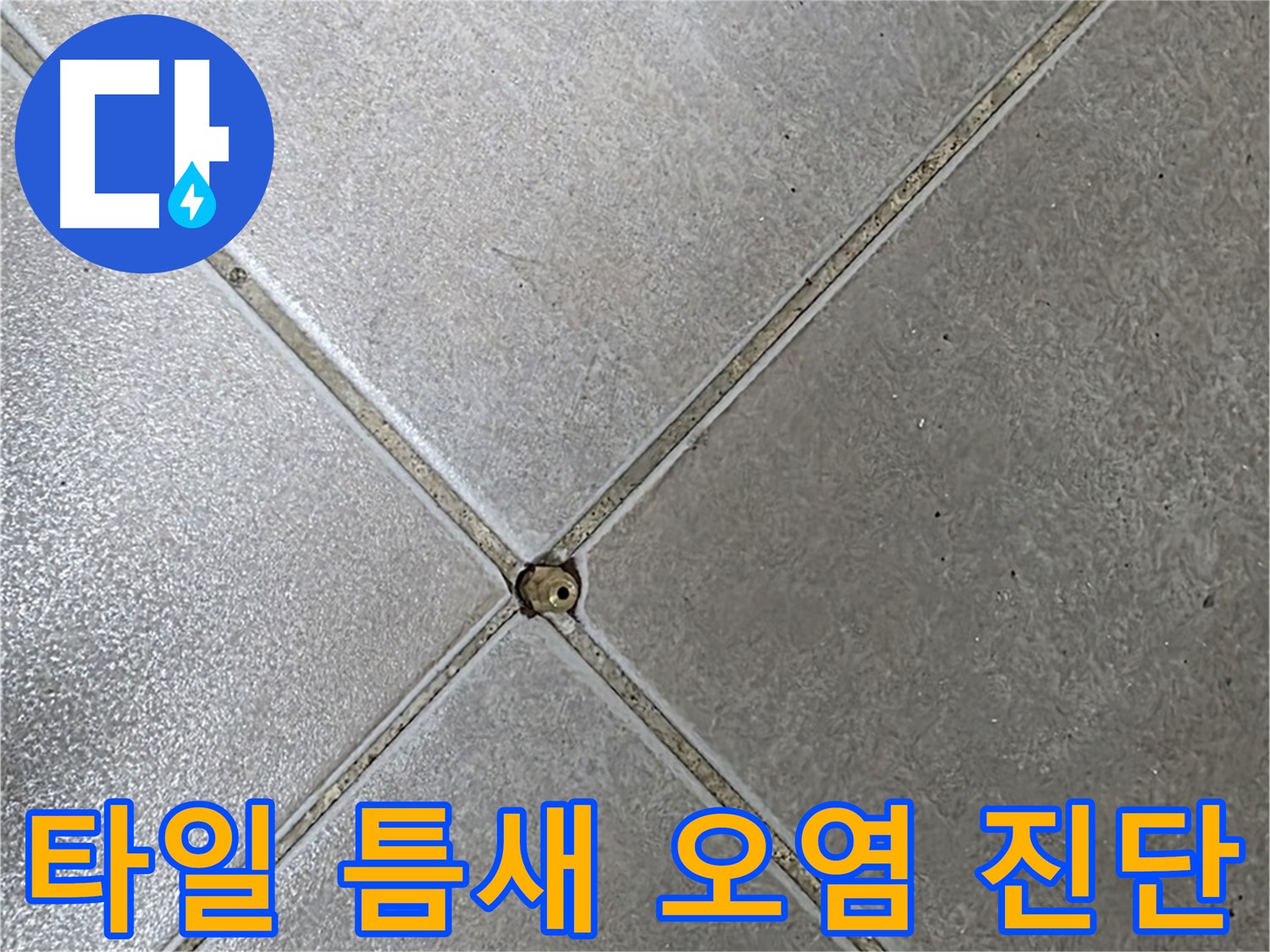 양주시 옥정동 율정마을 13단지 아파트 타일 틈새 - 오염과 누수 가능성 진단 중입니다.