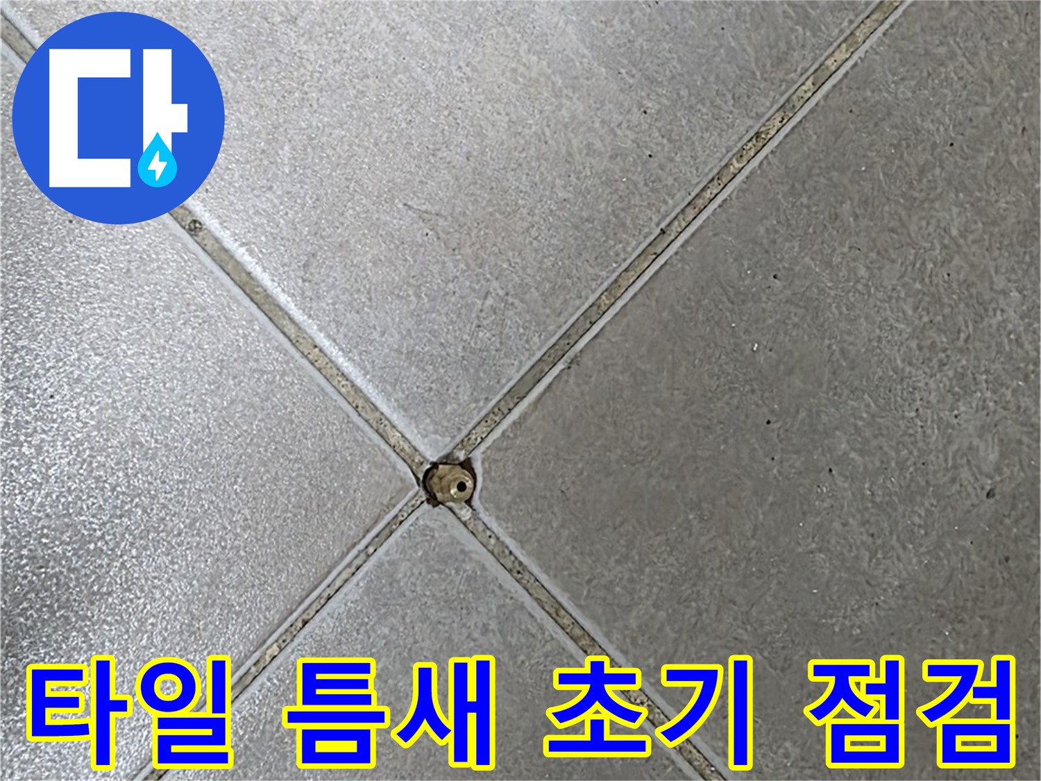 양주시 옥정동 율정마을 13단지 아파트 타일 틈새 - 초기 점검 과정입니다.