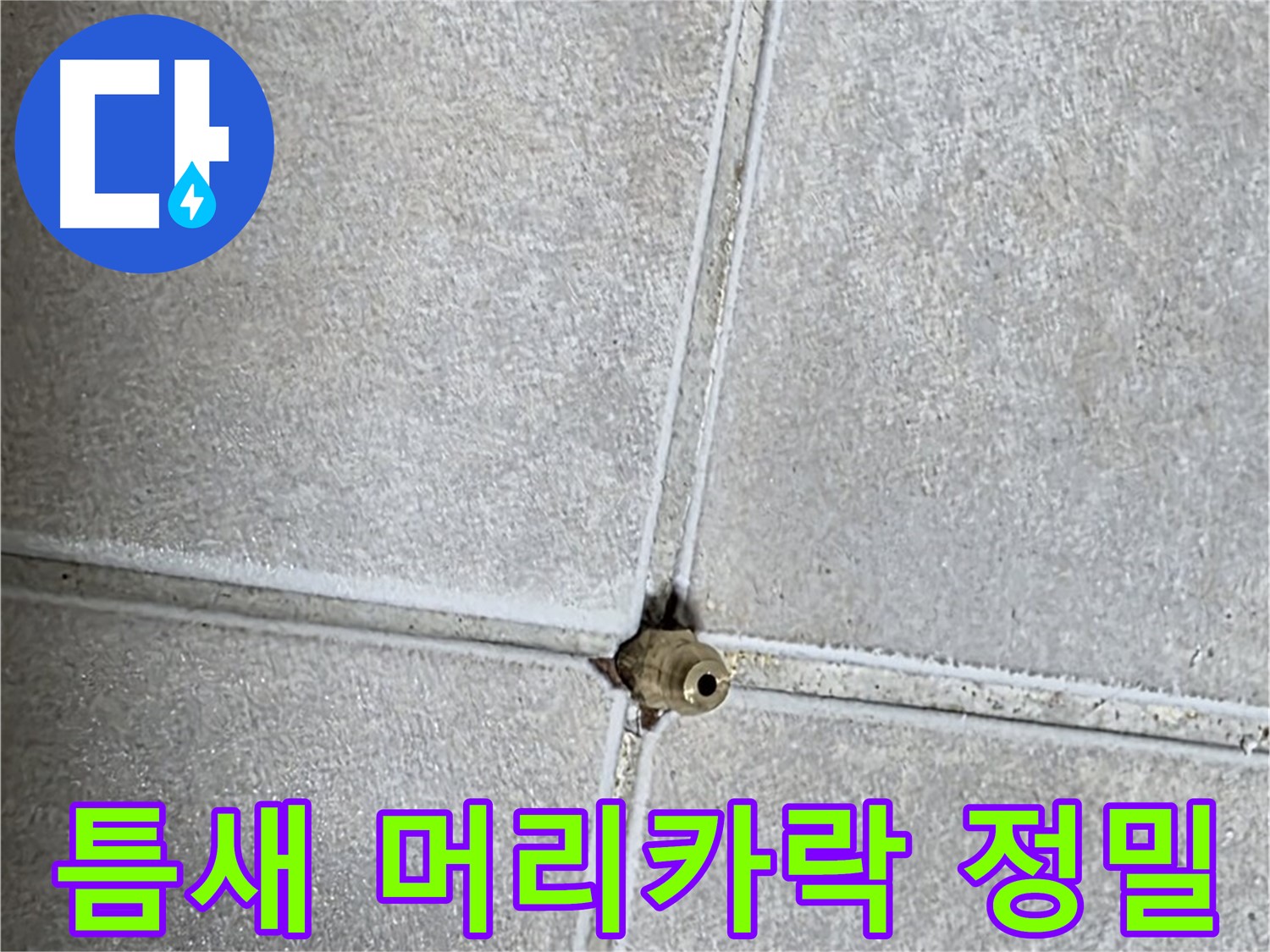 옥정 율정마을 아파트 누수 - 타일 틈새, 머리카락보다 얇은 틈도 놓치지 않는 정밀함으로 누수를 예방합니다.