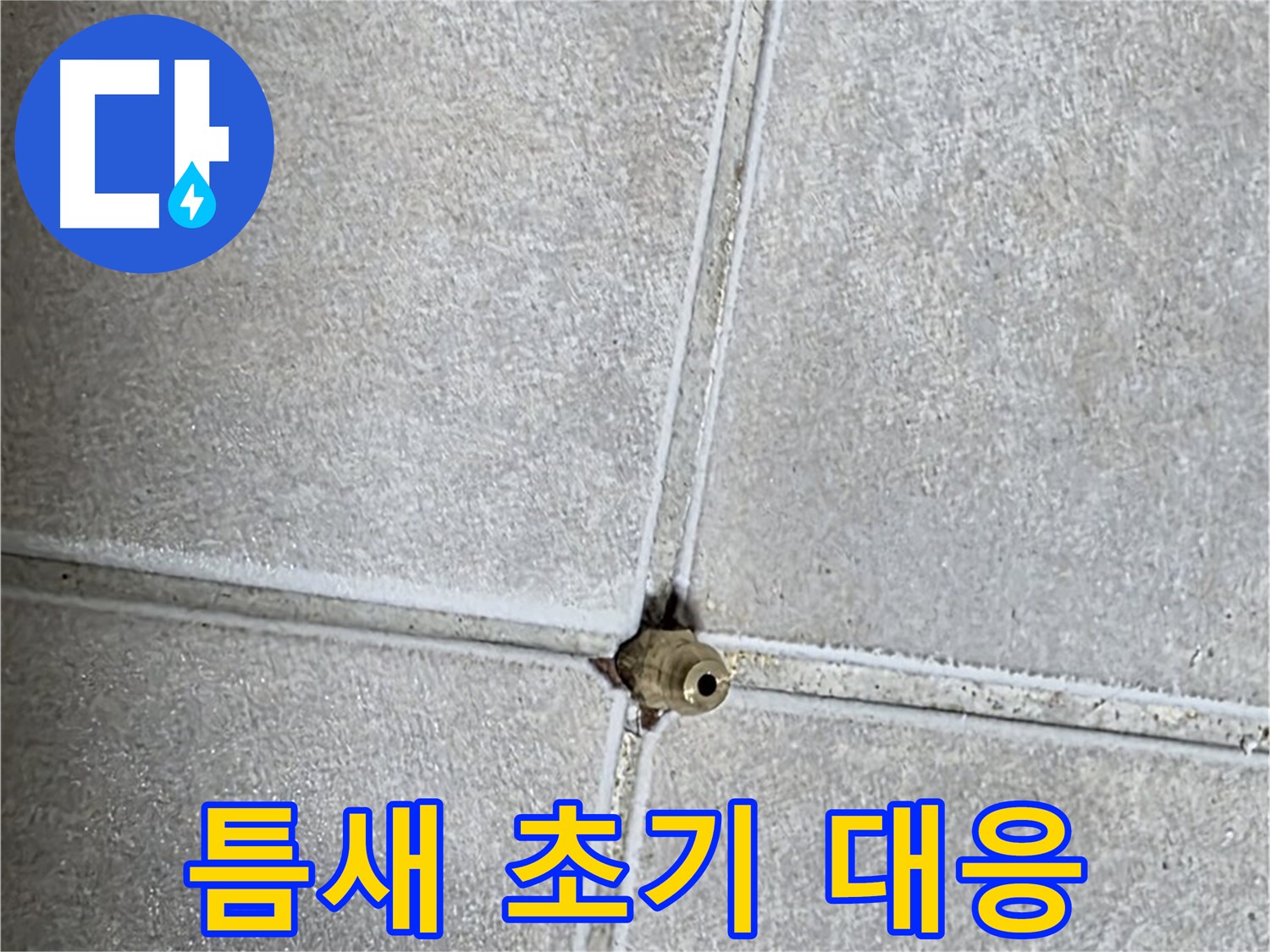 옥정 율정마을 아파트 누수 - 타일 틈새의 작은 구멍, 초기 대응으로 큰 피해를 막을 수 있습니다.