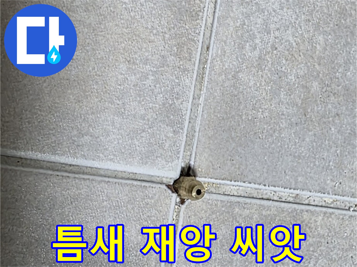 옥정 율정마을 아파트 누수 - 타일 틈새의 작은 구멍 하나가 재앙의 씨앗이 될 수 있다는 사실, 알고 계셨나요?