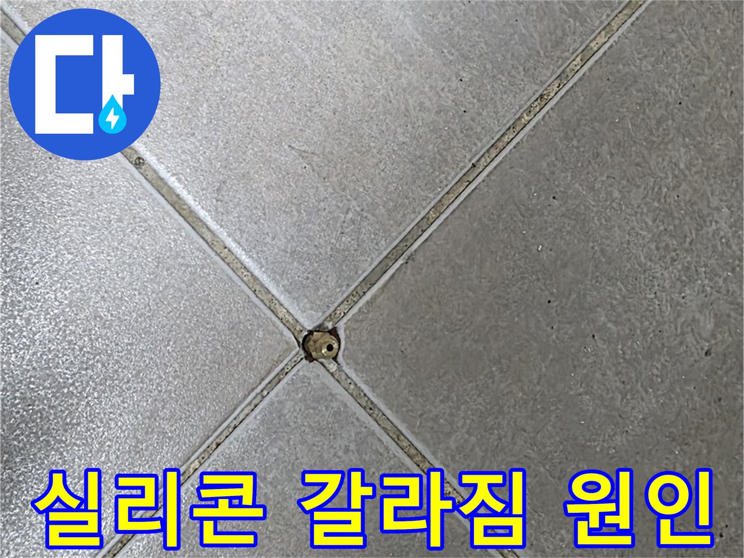 옥정 율정마을 아파트 타일 틈새 실리콘 갈라짐 - 누수 원인을 찾고 있습니다.